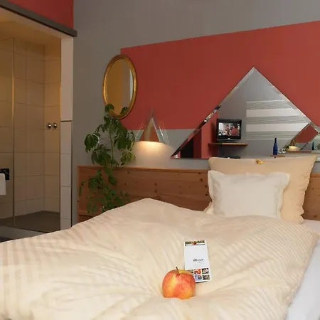 Hotel Muehle Zu 3*