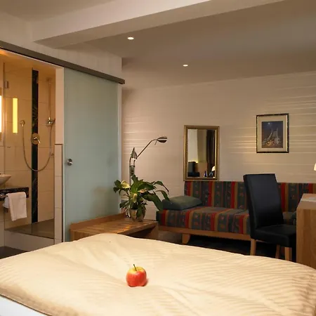Hotel Muehle Zu 3*
