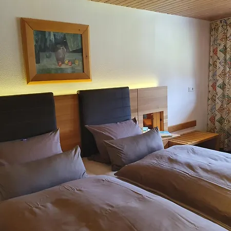 Muehle Zu فندق Gersbach