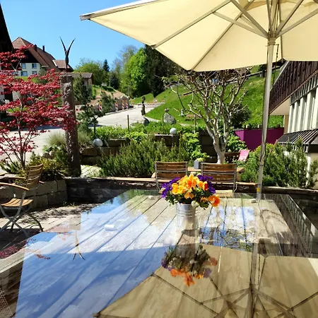 Hotel Muehle Zu Gersbach